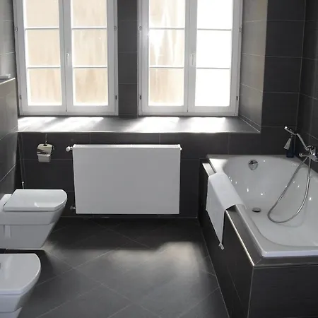 Mestsky Dorinka מלון 3*