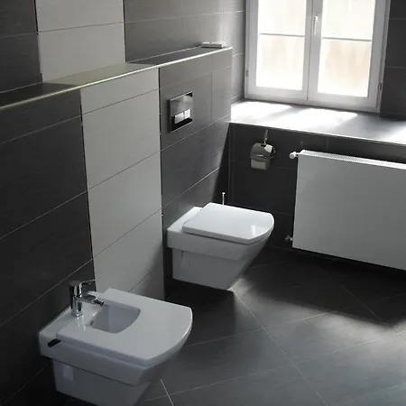 Mestsky Dorinka מלון Hostinné