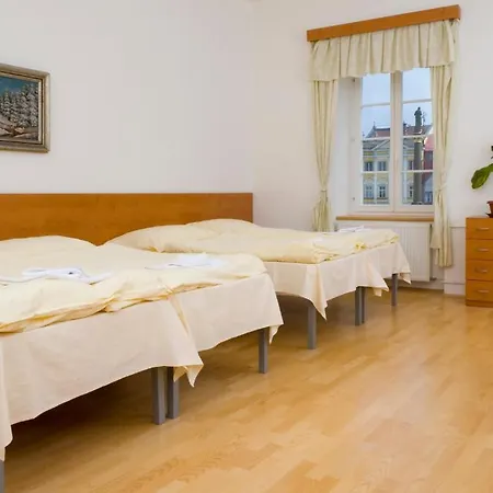 Отель Mestsky Dorinka 3*