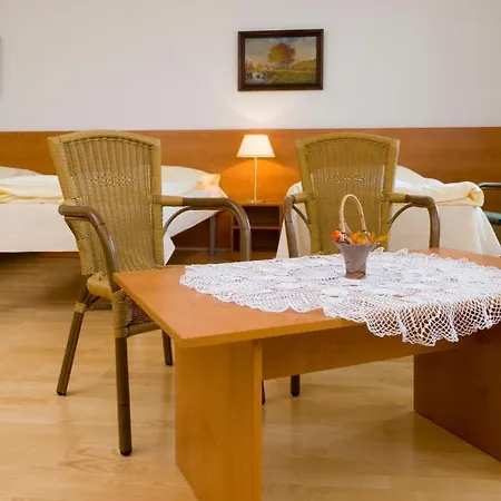 Отель Mestsky Dorinka 3*