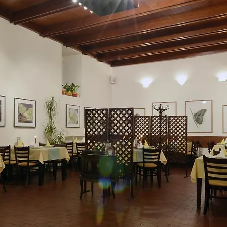 Mestsky Dorinka 3* Hostinné