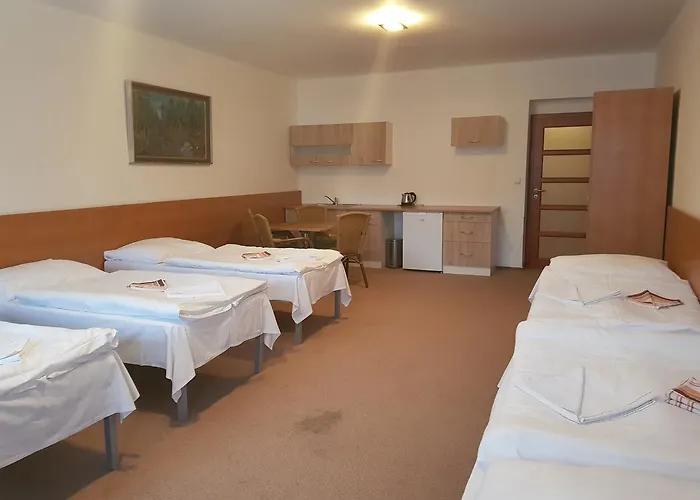 Městský Dorinka Hotel Hostinné